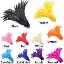 100pcs 10-12 Inch Artificial White Rooster Tail Feathers, Bulk, Suitable For DIY Crafts, Costumes And Halloween Party Decorations - Multicolor - View 5
