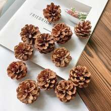 1 Stück 30/300g 4-6cm Mini Tannenzapfen, DIY Weihnachtsbaum Anhänger Deko, natürliche Tannenzapfen Ornamente für Feiertags-Party, Neujahrs-Zubehör, geeignet für DIY Dekoration, Hängekünste, Weihnachtsbaum Deko, Party Dekorationen, verschiedene Stile erhältlich Heim Deko Weihnachtsdeko Zimmer Deko Winter