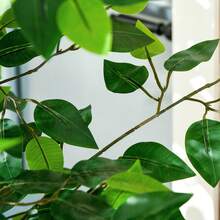 HOMCOM Lot de 2 plantes artificielles arbres artificiels ficus hauteur 1,80 m tronc branches liane lichen feuilles grand réalisme pot inclus, intérieur, vert - Vert - Voir 9