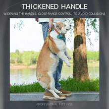 HP308+LL039 重型战术犬用背带套装，适用于大型犬，可调节防拉反光勤务训练背心，易于控制