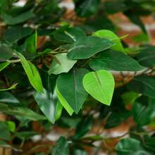 HOMCOM Lot de 2 plantes artificielles arbres artificiels ficus hauteur 1,80 m tronc branches liane lichen feuilles grand réalisme pot inclus, intérieur, vert - Vert - Voir 8
