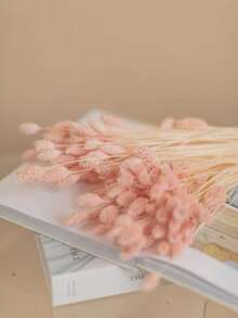 25/50/100pcs Gem Grass Dried Flowers, Assorted Colors, For Home Decor, Vase Decoration, DIY Bouquets, Cake Decoration - Baby Pink - View 4