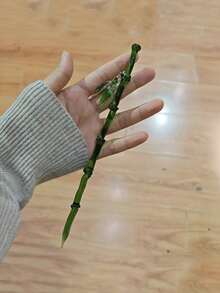 1/2/4/3/5/10pcs Emerald Bamboo Hairpin With Leaf Charm - Chinese Style Ancient Niche Hair Accessory, High-End Resin Material, Elegant Women'S Hair Stick, Bun Extension, Hair Bun Maker, Bun Hair Piece, Hair Styling Pins, Pins For Hair, Bobby Pins, Hair Accessories, Head Accessories