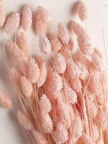 25/50/100pcs Gem Grass Dried Flowers, Assorted Colors, For Home Decor, Vase Decoration, DIY Bouquets, Cake Decoration - Baby Pink - View 2