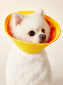 PETSIN Elizabeth Collar 猫用防咬颈项圈 防舔防抓防护锥形项圈 宠物美容用 适合小型猫咪