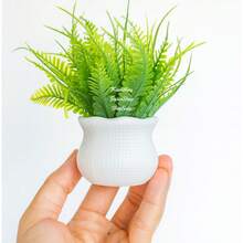 2 Pick Arrangements With 2 Vases And 2 Branches - 綠色 - 查看 4