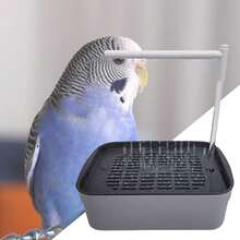 1pc Large Bird Shower Circulating Water Fountain For Parrots Outdoor Garden Bath