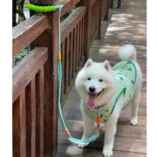 Guia de Passeio Mãos Livres Com Corda Dupla De Nylon Transversal Reforçada Resistente Refletivo Para Cachorros LR-0318a - Rosa Bebê - Visão 7