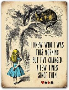 Agedsign Alice In Wonderland Poster, Vintage Metal Tin Sign I Know Who I Was This Morning Quotes Decor Gifts For Girls Living Room Party Decorations 12" X 8" - 1 - 查看 1