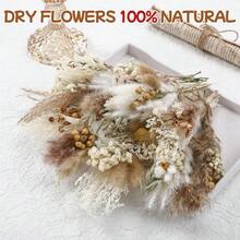 24 Pack Dried Flowers For Vase Various Mini Bouquet Dried Small Wildflowers Natural Real Flowers Bulk For Crafts DIY Wedding Decor 12 Plain Colour 1111 - 各系列 - 查看 3