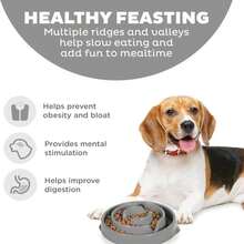 Outward Hound Fun Feeder Slo Bowl, Medium Slow Feeder Dog Bowl, 2 Cups, Turquoise - 顏色B - 查看 2