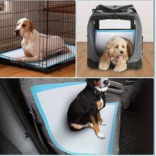 100/50/40/20pcs Super Absorbent Pet Pee Pads, Designed For Large, Medium And Small Dogs Training. Super Absorbent, Leak-Proof, Odor Eliminating, Easy To Clean, Disposable. Suitable For Puppies, Kittens, And Medium/Large Dogs Indoor Training And Daily Use. [Quantity Varies By Specification]