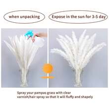 MEHELANY 15根/盒 - 17英寸白色人造藤条，波西米亚风格家居装饰，假藤条，适用于花瓶填充、插花、餐桌摆饰、现代客厅、家居、婚礼花束、花环、场地装饰、秋季装饰