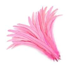 100pcs 10-12 Inch Artificial White Rooster Tail Feathers, Bulk, Suitable For DIY Crafts, Costumes And Halloween Party Decorations - Multicolor - View 22