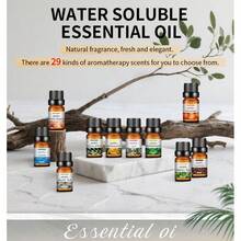 1 Frasco de 10ml/0,34oz de Óleo Essencial de Aromaterapia Solúvel em Água, Inclui Aromas de Flor de Cerejeira, Violeta, Camomila, Pêssego Branco, Lavanda, Eucalipto, Baunilha, Hortelã, Uva e Lichia. Adequado para Umidificadores, Difusores, Perfumes Caseiros e Fabricação de Velas. - Multi Aromas - Ver 2