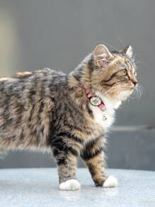 1 pieza Collar inteligente para gatos Catpro, anti-pérdida con campana y diseño reflectante, ajustable, con función de de apertura mecánica