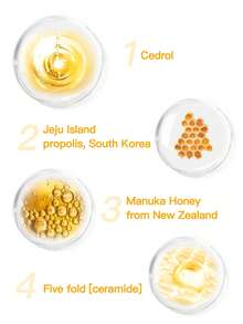 CNP 15ml Korean Honey Lip Balm, Propolis Lipcerin 01 Original, 12-Hour Long-Lasting Moisturizing, Overnight Manuka Lip Mask, 12-Hour Intense Hydration, Korean Skincare - 01 Original - View 7