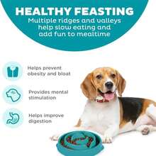 Outward Hound Fun Feeder Slo Bowl, Medium Slow Feeder Dog Bowl, 2 Cups, Turquoise - ColourH - 查看 2