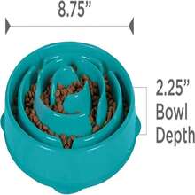 Outward Hound Fun Feeder Slo Bowl, Medium Slow Feeder Dog Bowl, 2 Cups, Turquoise - ColourH - 查看 7