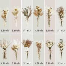 24 Pack Dried Flowers For Vase Various Mini Bouquet Dried Small Wildflowers Natural Real Flowers Bulk For Crafts DIY Wedding Decor 12 Plain Colour 1111 - 各系列 - 查看 2