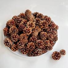 1 Stück 30/300g 4-6cm Mini Tannenzapfen, DIY Weihnachtsbaum Anhänger Deko, natürliche Tannenzapfen Ornamente für Feiertags-Party, Neujahrs-Zubehör, geeignet für DIY Dekoration, Hängekünste, Weihnachtsbaum Deko, Party Dekorationen, verschiedene Stile erhältlich Heim Deko Weihnachtsdeko Zimmer Deko Winter