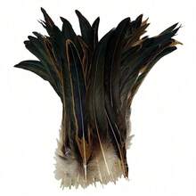 100pcs 10-12 Inch Artificial White Rooster Tail Feathers, Bulk, Suitable For DIY Crafts, Costumes And Halloween Party Decorations - Multicolor - View 25