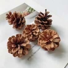 1 Stück 30/300g 4-6cm Mini Tannenzapfen, DIY Weihnachtsbaum Anhänger Deko, natürliche Tannenzapfen Ornamente für Feiertags-Party, Neujahrs-Zubehör, geeignet für DIY Dekoration, Hängekünste, Weihnachtsbaum Deko, Party Dekorationen, verschiedene Stile erhältlich Heim Deko Weihnachtsdeko Zimmer Deko Winter