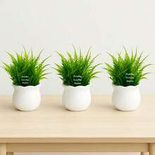 2 Pick Arrangements With 2 Vases And 2 Branches - 綠色 - 查看 3