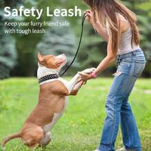 Ensemble de collier pour chien à pointes réglable avec laisse - Collier pour animaux de compagnie  clouté, durable et collier de dressage convenant aux chiens de taille moyenne à grande, pour la promenade en extérieur - Multicolore - Voir 5