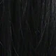 màu đen