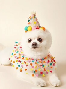 PETSIN 2 cái/bộ khăn choàng và mũ sinh nhật cho chó và mèo cưng, phụ kiện quần áo tiệc sinh nhật cho thú cưng, phụ kiện màu cầu vồng, quà tặng sinh nhật tuyệt vời cho thú cưng - Nhiều màu - Xem 7