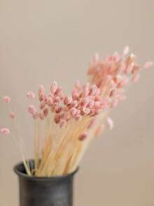 25/50/100pcs Gem Grass Dried Flowers, Assorted Colors, For Home Decor, Vase Decoration, DIY Bouquets, Cake Decoration - Baby Pink - View 3