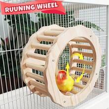 Đồ chơi chim đậu, Đồ chơi vẹt lắc tương tác và đậu, Đồ chơi vẹt đuôi dài bằng gỗ, Đồ chơi trí tuệ cho chim câu đố, Đồ chơi làm giàu trí tuệ cho vẹt, Phụ kiện lồng chim Đồ chơi đậu cho vẹt đuôi dài - Nhiều màu - Xem 8