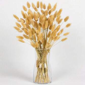 60/120pcs Bohemian Style Pampas Grass Bouquet - Beige Fluffy Pampas Grass Branches, Home Decor, Wedding Party Decoration, Glass Vase Filler, Photography Props, No Maintenance Required, Suitable For Thanksgiving, Halloween, Christmas, Graduation Ceremony And More, Vintage Centerpiece, Natural Greenery, Boho Style