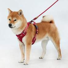 Adjustable Dog Harness, Non-Choke Reflective Pet Vest With Soft Padded Handle, Suitable For Medium & Small Dogs - Multicolor - View 7