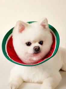 PETSIN Elizabeth Collar 猫用防咬颈项圈 防舔防抓防护锥形项圈 宠物美容用 适合小型猫咪