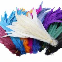 100pcs 10-12 Inch Artificial White Rooster Tail Feathers, Bulk, Suitable For DIY Crafts, Costumes And Halloween Party Decorations - Multicolor - View 11