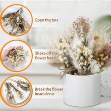 24 Pack Dried Flowers For Vase Various Mini Bouquet Dried Small Wildflowers Natural Real Flowers Bulk For Crafts DIY Wedding Decor 12 Plain Colour 1111 - 各系列 - 查看 4