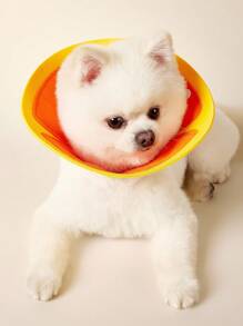 PETSIN Elizabeth Collar 猫用防咬颈项圈 防舔防抓防护锥形项圈 宠物美容用 适合小型猫咪