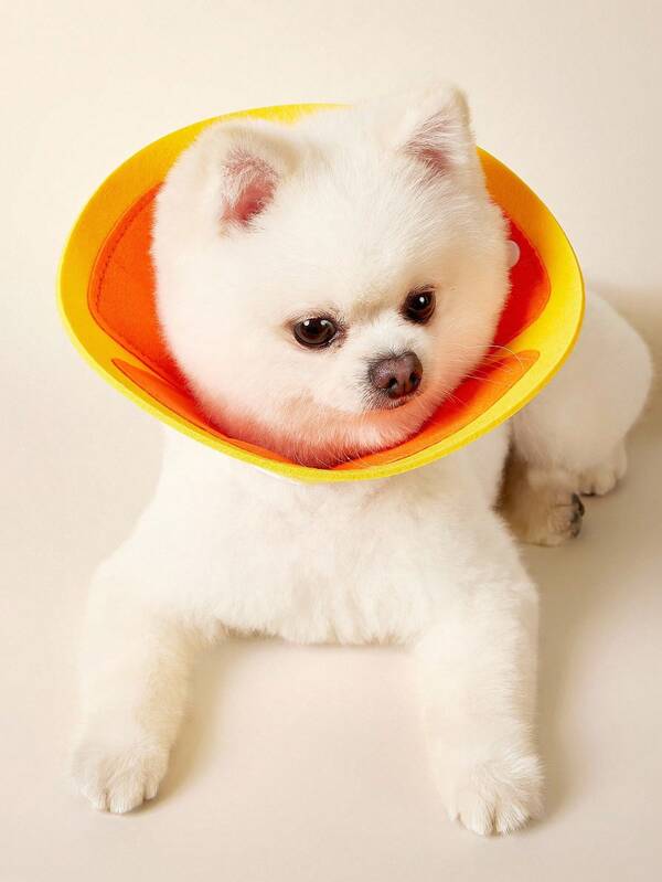 PETSIN Elizabeth Collar Cat Anti-Bite Neck Collar, Anti-Licking Anti-Scratch Protective Cone Collar For Pet Grooming, Suitable For Small Cats