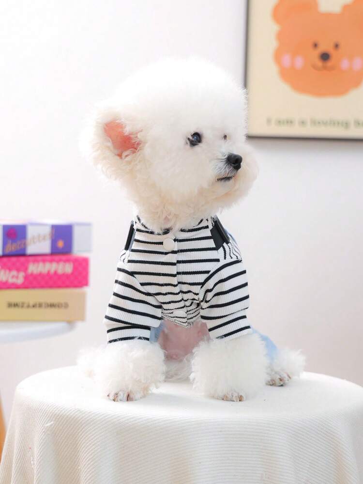 1件宠物衣服，狗狗/猫咪服装，小型犬可爱套装，秋冬季保暖舒适，连体衣 - 星形蓝 - 彩色 - 查看 4