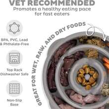 Outward Hound Fun Feeder Slo Bowl, Medium Slow Feeder Dog Bowl, 2 Cups, Turquoise - 顏色B - 查看 3