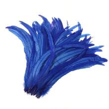 100pcs 10-12 Inch Artificial White Rooster Tail Feathers, Bulk, Suitable For DIY Crafts, Costumes And Halloween Party Decorations - Multicolor - View 17