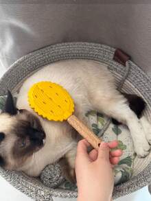 宠物榴莲按摩梳猫毛脱毛梳猫毛清洁刷梳多功能刮毛器毛刷 - 彩色 - 查看 9