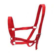 3er Set Pferde Halfter - Führleine + Halfter + Gebiss, Pferdereitausrüstung, Essenzielles Zubehör für Pferderennen und Reitsport