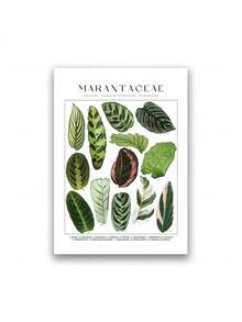 1 pièce Affiche murale minimaliste classique, imprimé botanique floral de plantes tropicales, style nordique. Peinture sur canevas pour décoration de la maison, du salon et de la chambre à coucher