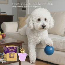 100ml Pet Perfume, Long-Lasting Fragrance, Suitable For All Cats & Dogs, Multiple Styles Available, Keep Your Beloved Pets Clean And Fresh. Deodorizing Spray, Natural Ingredients, For Cats