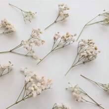 50/100 件人造白色迷你满天星干花，象牙色花瓶装饰，适用于婚礼、家居、办公室、派对、花园、卡片制作、DIY - 白綠色 - 查看 7