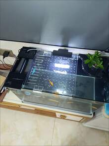 4pcs Acrylic Aquarium Canopy Bracket, Transparent Fish Tank Anti-Jump Net Support Holder, Available In Multiple Sizes (6mm, 8mm, 10mm, 12mm) - Multicolor - View 6