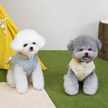 2 piezas Ropa de animal nueva para otoño/invierno, abrigo acolchado y abrigado, ropa para gato/perro, chaqueta cortavientos, ropa de algodón para gato, ropa de animal, ropa abrigada para gato, ropa con estilo británico con correa, pantalones babero nuevos y lindos, ropa abrigada para otoño/invierno